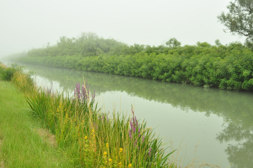 France, Provence, Camargue, Saintes Maries de la Mer